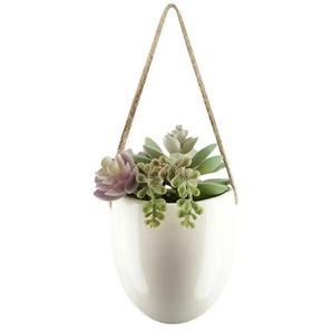 Sukkulentenmix - weiß - Keramik,Kunststoff - 13 cm - 18 cm - cm 11,0 | Möbel Kraft
