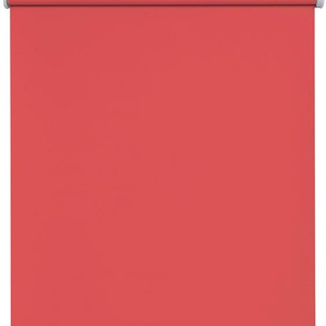 Batterierollo SUNLINES Premium Style Uni Rollos Gr. 170 cm, 195 cm, rot Verdunkelungsrollos im Fixmaß