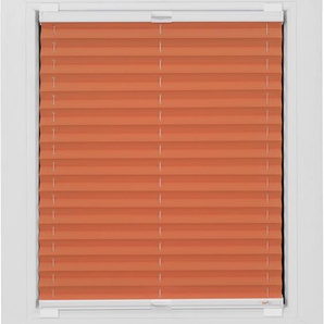 Klebe-Plissee SUNLINES One Size Style Crepe Plissees Gr. 210 cm, zweiseitig verschiebbar, 120 cm, orange Plissees ohne Bohren