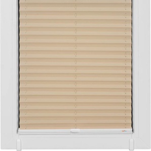 Plissee SUNLINES One Size Style Crepe Plissees Gr. 210 cm, zweiseitig verschiebbar, 65 cm, beige (sand, weiß, weiß) Plissees ohne Bohren Zubehörfarbe zum Klemmen