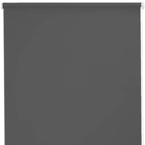 Seitenzugrollo SUNLINES Young Style Blackout Rollos Gr. 180 cm, stufenlos positionierbar, Bedienseite rechts, 142 cm, grau (anthrazit, weiß) Verdunkelungsrollos