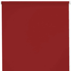 Seitenzugrollo SUNLINES Young Style Blackout Rollos Gr. 180 cm, stufenlos positionierbar, Bedienseite rechts, 142 cm, rot (rot, weiß) Verdunkelungsrollos