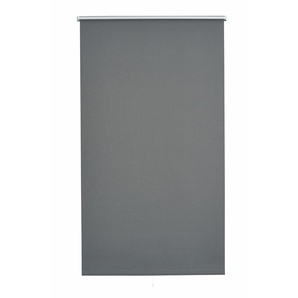 Springrollo SUNLINES Uni Rollos Gr. 180 cm, 142 cm, grau Verdunkelungsrollos Rollo 1 Stück
