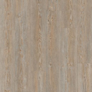 Tarkett ID Inspiration 55 Classics - Brushed Pine - Grey - 24513005