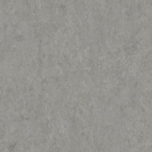 Tarkett | Lino Loose- Lay xf² | Veneto FOG 783- Bahnenware