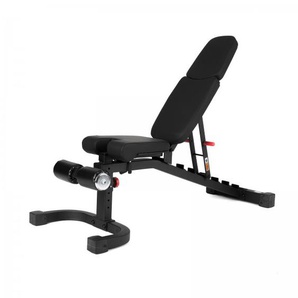 Taurus Studio Hantelbank B990 F.I.D. TF-B990