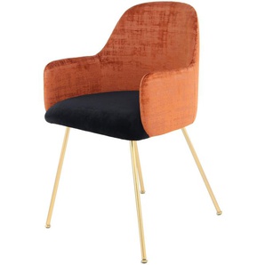Telemyr Dining Chair - Modern - Terra - Polyester - 50cm x 53cm x 85cm