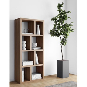 Temahome Regal Berlin MDF Walnuss 70x159x34 cm (BxHxT)