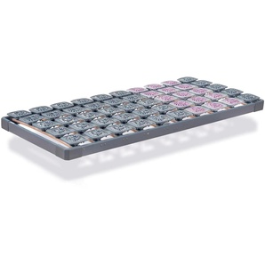 Lattenrost TEMPUR Tempur Premium Flex 500 Lattenroste Manuell Gr. B/L: 100 cm x 210 cm, 120 kg, rosa (foliert) Lattenrost Tellerlattenrost Lattenroste 100x210 cm individuell einstellbare Tellerelemente