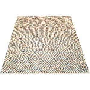 Teppich ANDAS Helen Teppiche Gr. B/L: 160 cm x 230 cm, 7 mm, 1 St., bunt (multi) Baumwollteppiche flacher Teppich, weich, pflegeleicht, elegant