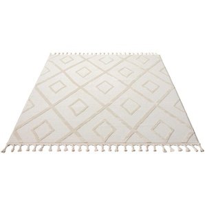 Teppich ANDAS »Otilie« Teppiche Gr. B/L: 240 cm x 320 cm, 11 mm, 1 St., beige (cream) Esszimmerteppiche
