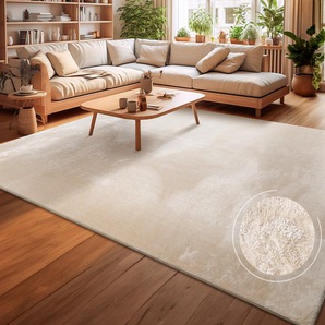 Teppich Andeer Gr. 6, beige (creme), B:240cm H:14mm L:340cm, Polyester, Teppiche, Kurzflor, Uni Farben, weich & kuschelig, waschbar, Wohnzimmer