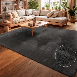 Teppich Andeer Gr. 6, grau (anthrazit), B:240cm H:14mm L:340cm, Polyester, Teppiche, Kurzflor, Uni Farben, weich & kuschelig, waschbar, Wohnzimmer