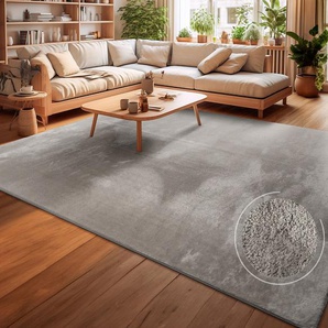 Teppich Andeer Gr. 6, grau, B:240cm H:14mm L:340cm, Polyester, Teppiche, Kurzflor, Uni Farben, weich & kuschelig, waschbar, Wohnzimmer