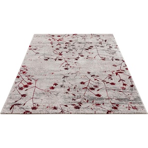 Teppich ASTRA Noa 211 Teppiche Gr. B/L: 160 cm x 230 cm, 9 mm, 1 St., rot Esszimmerteppiche weiche softe Haptik, Wohnzimmer