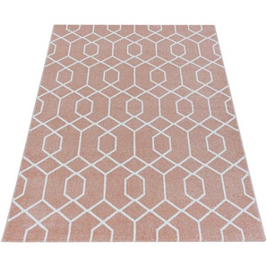 Teppich AYYILDIZ TEPPICHE EFOR 3713 Teppiche Gr. B/L: 200 cm x 290 cm, 11 mm, 1 St., rosa (rosé) Esszimmerteppiche