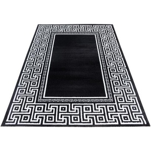 Teppich AYYILDIZ TEPPICHE PARMA 9340 Teppiche Gr. B/L: 280 cm x 370 cm, 12 mm, 1 St., schwarz (black) Esszimmerteppiche strapazierfähig pflegeleicht Kurzflorteppich