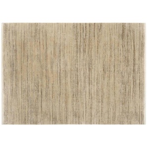 Teppich   ¦ braun ¦ Viskose ¦ Maße (cm): B: 160 H: 0,8