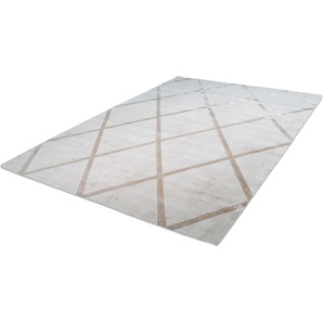 Teppich CALO-DELUXE Viteox 210 Teppiche Gr. B/L: 120 cm x 170 cm, 13 mm, 1 St., grau (taupe) Esszimmerteppiche Viskose, Kurzflor, Wohnzimmer