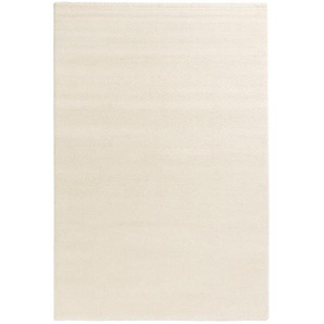 Teppich Joy Beige/Creme 200 x 290cm Webstoff