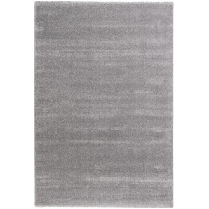 Teppich Joy Grau/Lichtgrau 133 x 190cm Webstoff