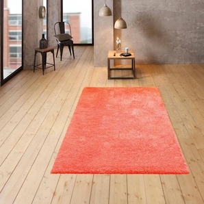 Teppich MY HOME Desner, Hochflor Teppiche Teppiche Gr. B/L: 240 cm x 320 cm, 38 mm, 1 St., orange (apricot) Esszimmerteppiche