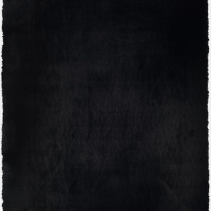 Teppich OCI DIE TEPPICHMARKE ROCKY SOFT Teppiche Gr. B/L: 120 cm x 170 cm, 35 mm, 1 St., schwarz Esszimmerteppiche Kunstfell, weich, kuschelig, maschinell gewebt, waschbar