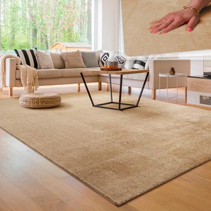 Teppich PACO HOME Cadiz 630, beige (dunkelbeige), B:240cm H:14mm L:340cm, Polyester, Teppiche, Uni-Farben, besonders weich, waschbar, auch als Läufer erhältlich