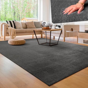 Teppich PACO HOME Cadiz 630, grau (anthrazit), B:240cm H:14mm L:340cm, Polyester, Teppiche, Uni-Farben, besonders weich, waschbar, auch als Läufer erhältlich