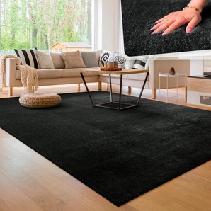 Teppich PACO HOME Cadiz 630, schwarz, B:240cm H:14mm L:340cm, Polyester, Teppiche, Uni-Farben, besonders weich, waschbar, auch als Läufer erhältlich