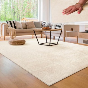 Teppich PACO HOME Cadiz 630 Teppiche Gr. B/L: 240 cm x 340 cm, 14 mm, 1 St., beige (cream) Esszimmerteppiche Uni-Farben, besonders weich, waschbar, auch als Läufer erhältlich