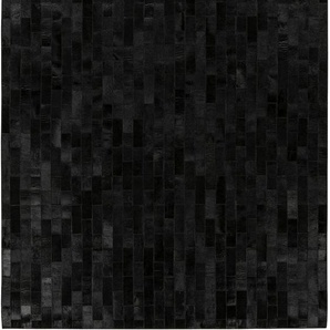 Teppich PADIRO Lavin 825 Teppiche Gr. B/L: 120 cm x 170 cm, 8 mm, 1 St., schwarz Esszimmerteppiche