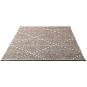 Teppich SANSIBAR Braderup Teppiche Gr. B/L: 120 cm x 170 cm, 2 mm, 1 St., rot Schurwollteppiche