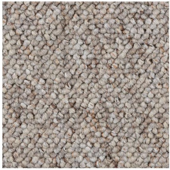 BODENMEISTER BM72051 500x500 Teppichboden Auslegware Meterware Schlinge beige 400 cm und 500 cm breit Variante: verschiedene L/ängen 5x5m