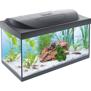 TETRA Aquarien-Set Starter Line LED Vivarien 54 l Gr. B/H/T: 61 cm x 35 cm x 31 cm, 54 l, schwarz Aquarium-Becken