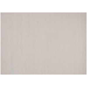 THEKO Wollteppich  Nakarta ¦ weiß ¦ Wolle ¦ Maße (cm): B: 250 H: 1