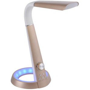 Tischleuchte PAUL NEUHAUS BILL Lampen Gr. 2 flammig, Höhe: 65 cm, goldfarben (messingfarben matt) LED Tischlampen CCT - tunable white, dimmbar über Drehdimmer, RGB, getrennt schaltbar