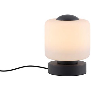 Tischleuchte PAUL NEUHAUS BOTA Lampen Gr. 1 flammig, Ø 12 cm, grau (anthrazit) LED Tischlampen LED, dimmbar über Touchdimmer