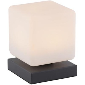 Tischleuchte PAUL NEUHAUS DADOA Lampen Gr. 1 flammig, grau (anthrazit) LED Tischlampen LED, dimmbar über Touchdimmer