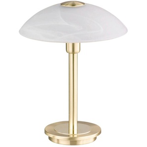 Tischleuchte PAUL NEUHAUS ENOVA Lampen Gr. 1 flammig, Ø 20 cm, braun (messing matt) LED Tischlampen