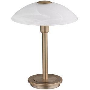 Tischleuchte PAUL NEUHAUS ENOVA Lampen Gr. 1 flammig, Ø 20 cm, goldfarben (altmessing) LED Tischlampen