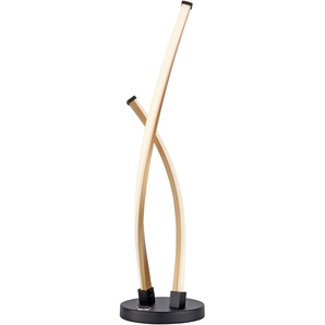 Tischleuchte PAUL NEUHAUS POLINA Leuchten Gr. 1 flammig, Ø 12,5 cm, schwarz LED Tischlampen LED, dimmbar über Touchdimmer