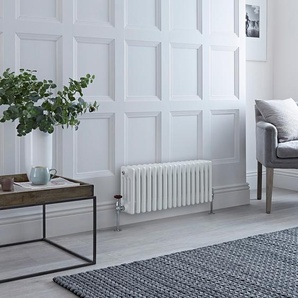 Traditioneller Gliederheizkörper (4-Säulen) Horizontal | 300mm x 785mm  - Weiß - Regent