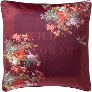 Kissenbezug TRAUMSTOFF ESTELLA WILDFLOWER Kissenbezüge Gr. B/L: 50 cm x 50 cm, 1 St., Polyester-Soft-Velours, rot (bordeaux) Kissenbezüge gemustert 4-seitige Uni-Satin-Paspel