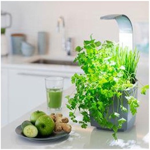 Tregren T3 GREY home garden