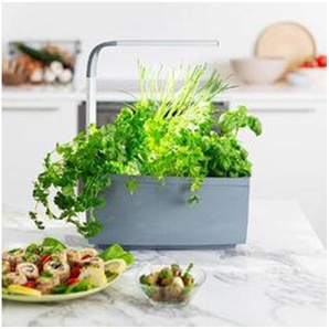 Tregren T6 GREY home garden