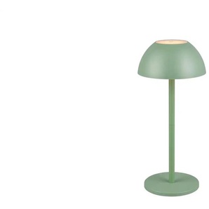 Realtiy Leuchten LED-Akkuleuchte | grün | 13 cm | 30 cm | cm 13,0 |
