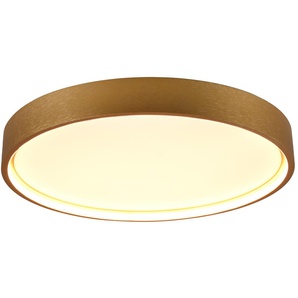 TRIO LED-Deckenleuchte Doha 641310208 Messing-matt, 29 W, 3260 lm, CCT