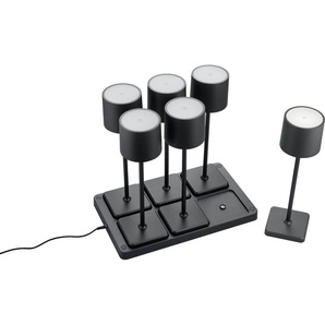 Reality Leuchten LED Außen-Tischleuchte Fernandez, Dimmfunktion, USB-Ladefunktion, LED fest integriert, Farbwechsler, warmweiß - kaltweiß, Set 6-teilig inkl Induktion-Ladestation Garten Akku Tischlampe dimmbar