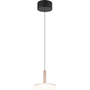 TRIO Leuchten LED Pendelleuchte »CELESTE dimmbare LED Hängelampe aus Metall und Glas, 10W 1100 Lumen«, 1 flammig, Leuchtmittel LED-Board   LED fest integriert, einfach höhenverstellbar von 50-200 cm, Ø 22cm, 3-Stufen Dimmfunktion